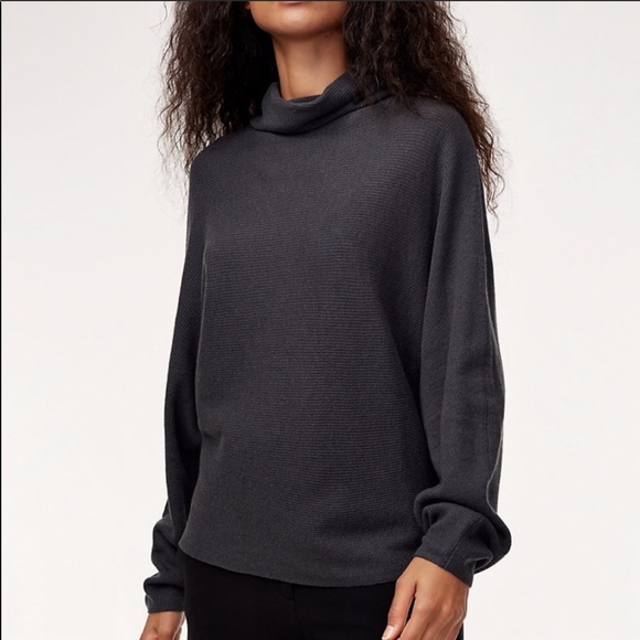 Aritzia Sweaters - Babaton dolman camel tan sweater turtleneck top